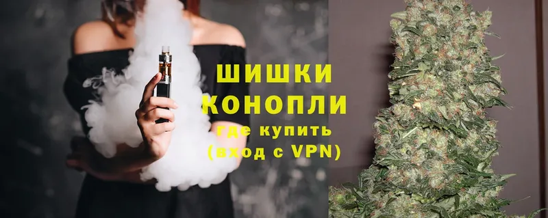 Шишки марихуана THC 21%  где можно купить   Боровичи 